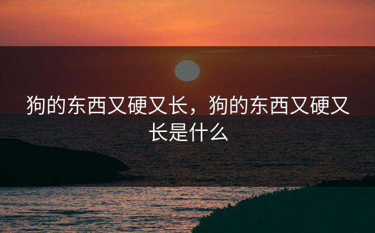 狗的东西又硬又长，狗的东西又硬又长是什么